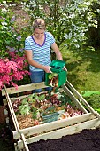 MAKING COMPOST - ADDING VEGETABLE WASTE