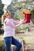 PLACING NESTING BOX INTO TREE