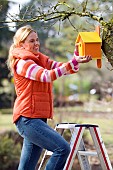 PLACING NESTING BOX INTO TREE