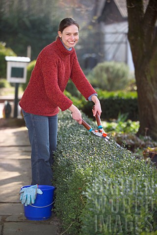 TRIMMING_BUXUS_HEDGERestriction_English_Speaking_Territories_Only