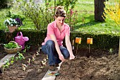 SOWING VEGETABLE SEEDS