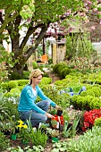 SOAKING PERENNIALS BEFORE PLANTING