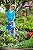 PLANTING PERENNIALS - WATERING BRUNNERA