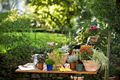 FINISHED PLANTING OF WINTER CONTAINERS IN AUTUMN.