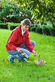 PLANTING BULBS IN THE GRASS.