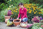 WOMAN PLANTING BULB FLOWERS IN AUTUMN