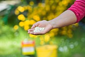 LAWN ACTION CASTING FERTILISER BY HAND