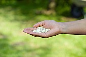 LAWN ACTION CASTING FERTILISER BY HAND