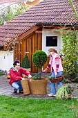 WINTER PROTECTION, COUPLE INSULATING FOR ROOT PROTECTION WITH COIR MATTINGAND CONIFER CUTTINGS.