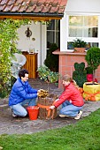 WINTER PROTECTION OF ROSE STANDARD WITH FLEECE. USING BUBBLE WRAP, AND A HURDLE MADE OF TWIGS AND ADDING LEAVES FOR INSULATION.