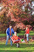 FAMILY ENJOYING CLEARING LEAVES FROM BENEATH TREE, CHILDREN BEING PUSHED IN BARROW.