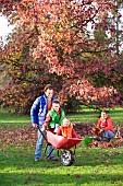 FAMILY ENJOYING CLEARING LEAVES FROM BENEATH TREE, CHILDREN BEING PUSHED IN BARROW.