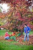 FAMILY ENJOYING CLEARING LEAVES FROM BENEATH TREE