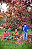FAMILY ENJOYING CLEARING LEAVES FROM BENEATH TREE