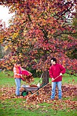 FAMILY ENJOYING CLEARING LEAVES FROM BENEATH TREE