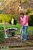 DIGGING OVER THE VEGETABLE BEDS IN WINTER