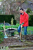 DIGGING OVER THE VEGETABLE BEDS IN WINTER
