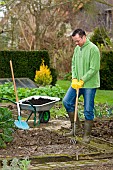 DIGGING OVER THE VEGETABLE BEDS IN WINTER