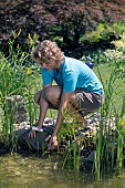 POND MAINTENANCE CHECKING POND CHEMISTRY BALANCE