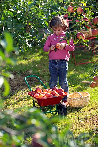 CHILD_COLLECTING_APPLES