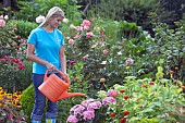 WOMAN WATERING FLOWERS IN GARDEN BED WITH WATERING CAN