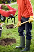 TREE PLANTING - LABURNUM