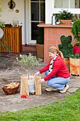 WINTER PROTECTION OF TENDER PLANTS.  LADY WRAPPING OLEA EUROPAEA (OLIVE) STANDARD CONTAINER TO PROTECT ROOTS WITH BUBBLE WRAP FOR INSULATION.  DECORATIVE BAMBOO ROLL WRAPPED AROUND FINISHED WITH STRAW MULCH FOR EXTRA INSULATION