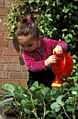 CHILD WATERING STRAWBERRIES