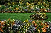 BEDDING PLANTS IN SMALL SPRING GARDEN