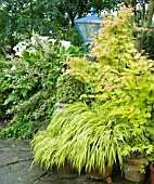 MIXED PLANTS ON PATIO