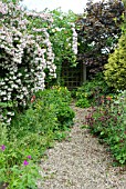 GARDEN WITH GRAVEL PATH