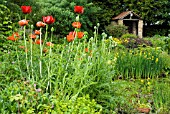 GARDEN VIEW OVER POND TO BRICK STRUCTURE