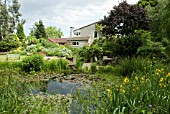 VIEW TOWARDS HOUSE OVER GARDEN POOL AND SEATING AREA,