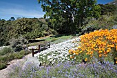 KIRSTENBOSCH NATIONAL BOTANICAL GARDEN