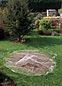 NEWLY SEEDED PATCH OF LAWN, WITH PROTECTIVE NET COVER
