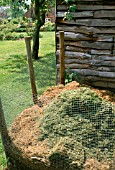 WIRE COMPOST BIN CONTAINING GRASS CUTTINGS