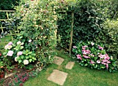 WOODEN ARCH WITH CLEMATIS TANGUTICA SEEDHEADS
