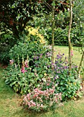 COTTAGE GARDEN