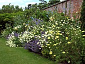 GERTRUDE JEKYLL COLOUR COMBINATIONS