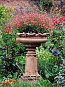 URN ON PEDESTAL WITH DIASCIA