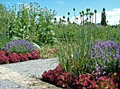 FLOWER AND VEGETABLE GARDEN