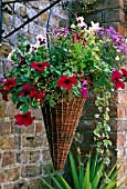 HANGING BASKET