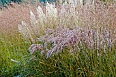 GRASS BORDER WITH MISCANTHUS SINENSIS,  CORTADERIA SELLOANA AND STIPA TENUISSIMA