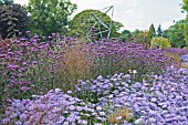 PERENNIAL BORDERS WITH ASTER X FRIKARTII MONCH AND VERBENA BONARIENSIS AT HARLOW CARR GARDENS,  HARROGATE