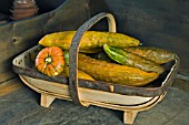 TRUG OF SQUASHES