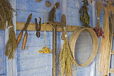 GARDEN_TOOLS_AND_DRIED_HERBS_IN_SHED_IN_THE_VICTORIAN_GARDEN_BBC_GARDENS_THROUGH_TIME_HARLOW_CARR_GA