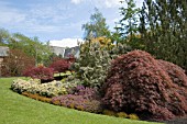 HEATHER AND ACER BED AT HARLOW CARR GARDENS