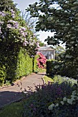 THE GARDENS IN EARLY SUMMER,  HILL OF TARVIT,  FIFE