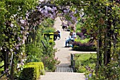 ARTISTS IN THE GARDENS