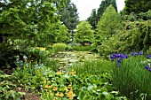 THE BOG GARDEN AND LOCH MACHAR,  DUNDEE BOTANIC GARDENS